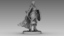 Crimson Shieldmaiden 3d model