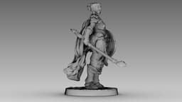 Crimson Shieldmaiden 3d model