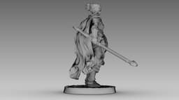 Crimson Shieldmaiden 3d model