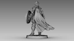 Crimson Shieldmaiden 3d model