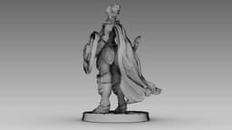 Crimson Shieldmaiden 3d model