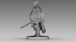 Crimson Shieldmaiden 3d model