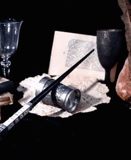 Radulph Spielman's Wand - Harry Potter 3d model