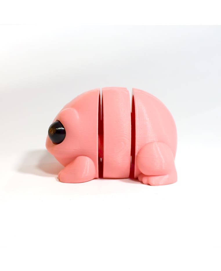 Baby Frog 3d model