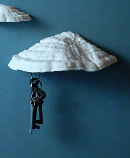 Mushroom magnetic key holder “Ganoderma Carnosum” 3d model