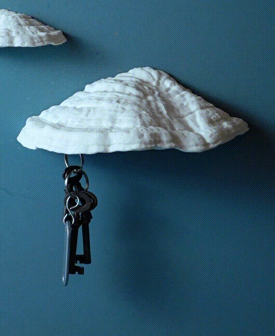 Mushroom magnetic key holder “Ganoderma Carnosum” 3d model