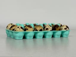 18-Count Quail Egg Carton design - use magnets to close lid 3d model