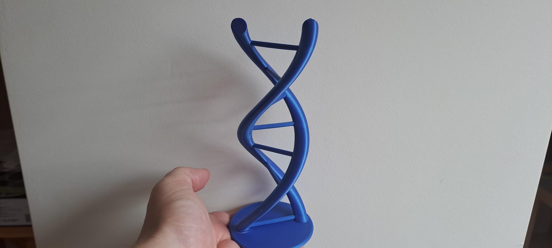 DNA Sample 3d model