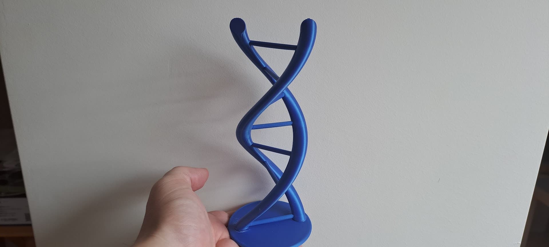DNA Sample 3d model