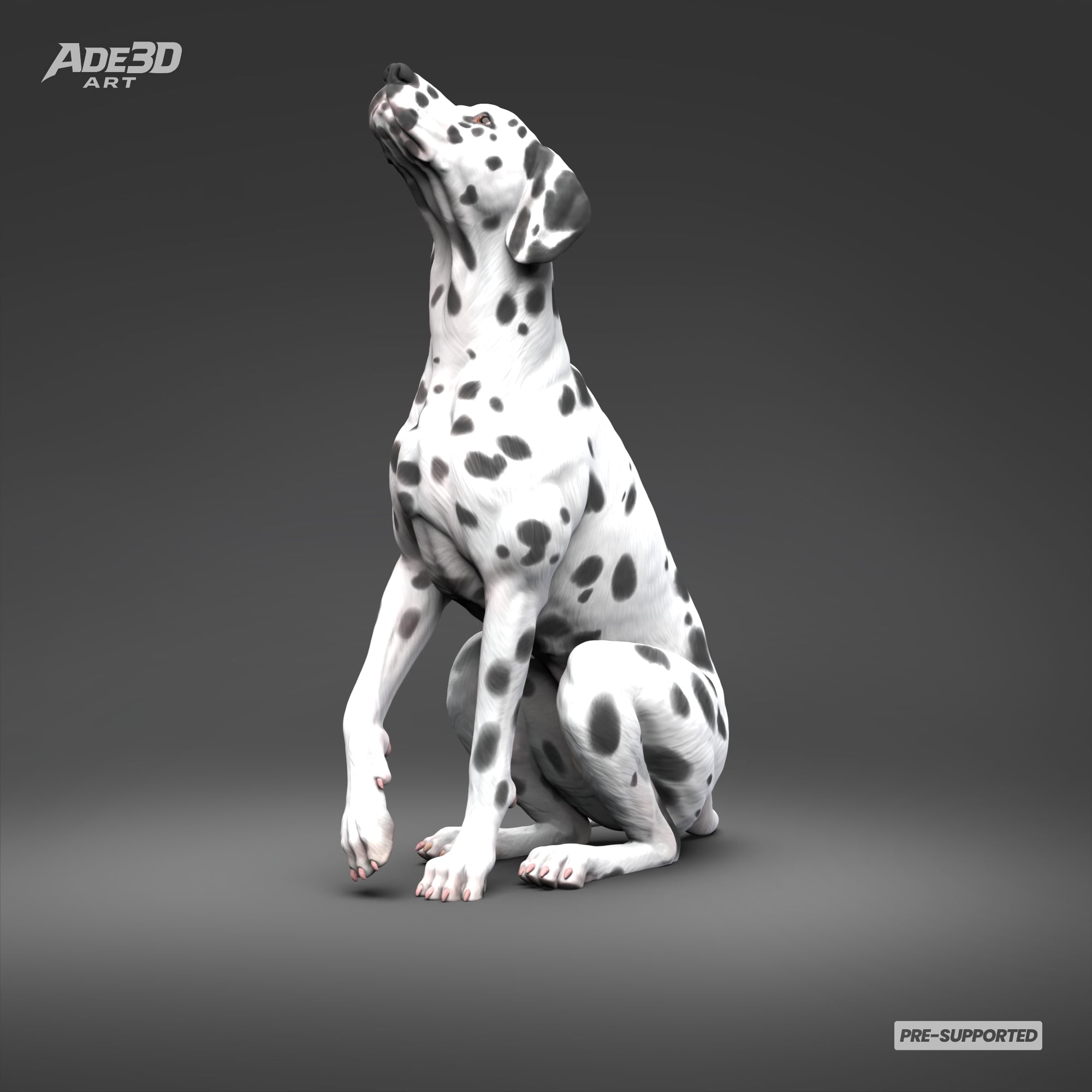 Dalmatian 3D Print Model Pose 04 3d model