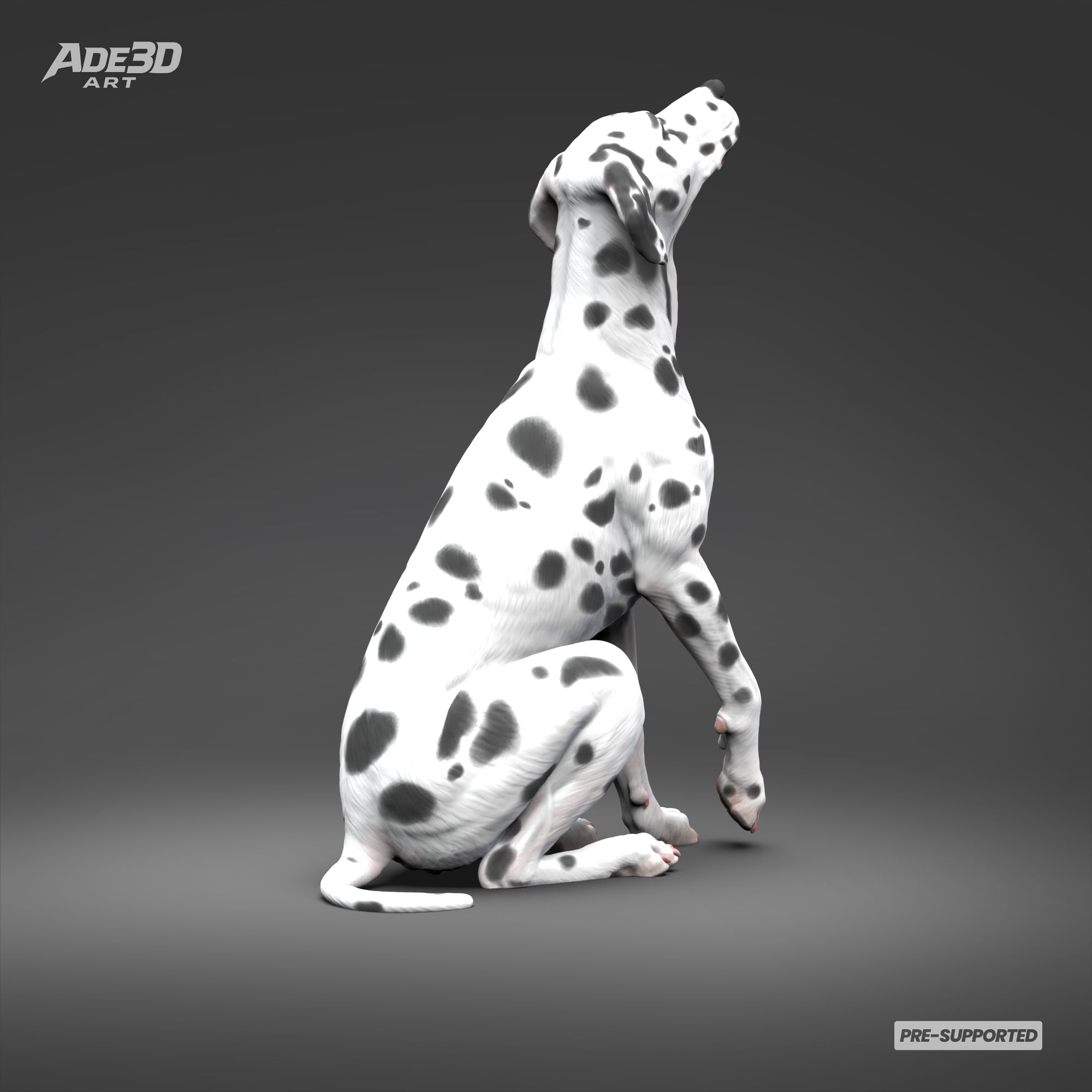 Dalmatian 3D Print Model Pose 04 3d model