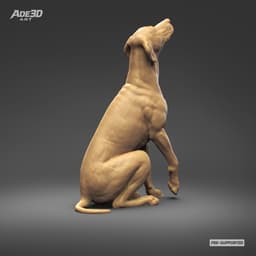 Dalmatian 3D Print Model Pose 04 3d model