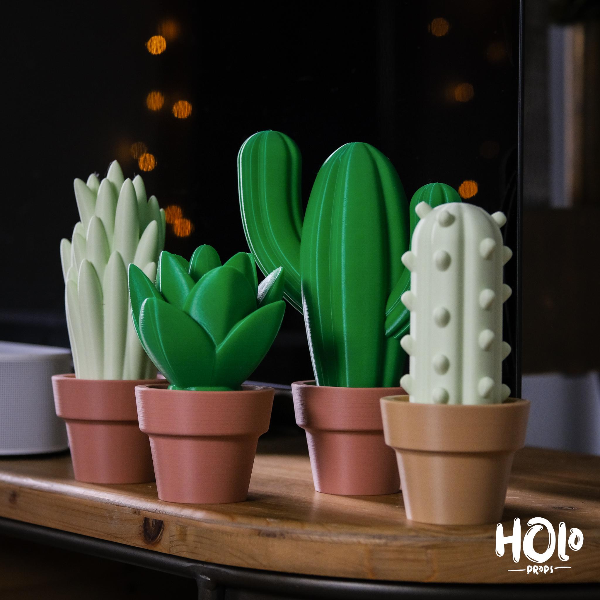 Cute Cactus Home Decor - Print in Place - Holoprops 3d model