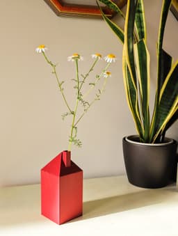 Flome V2 3d model