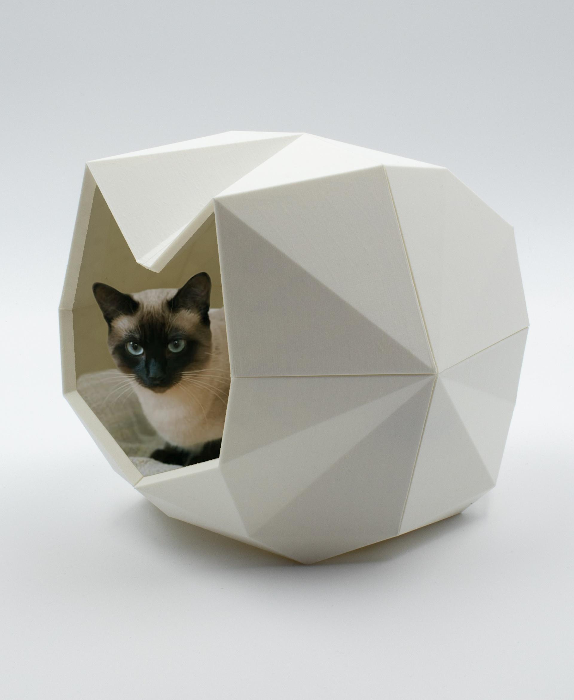 PIA LOW POLY CAT HOUSE 3d model