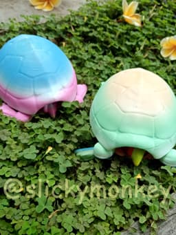 Hiding Turkey Turtle 3d model