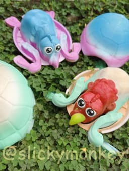 Hiding Turkey Turtle 3d model