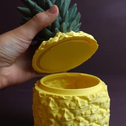 Sliced Pineapple 3d model