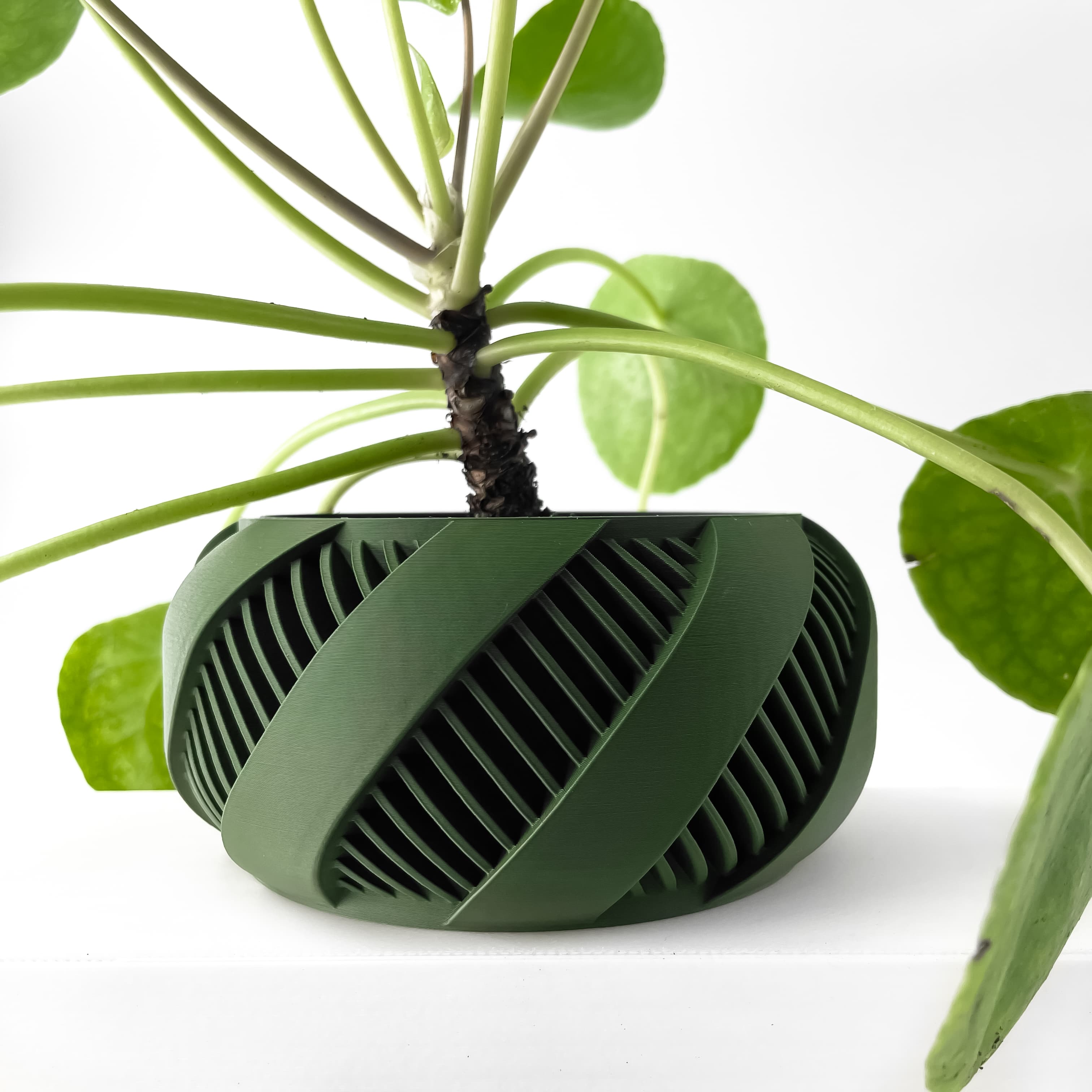 The Brimo Planter Pot with Drainage Tray & Stand Included | Modern and Unique Home Decor 3d model