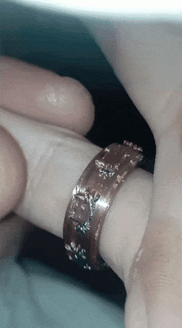 Fidgets Rings Cats & Another Ring About Lord of the Rings 3d model