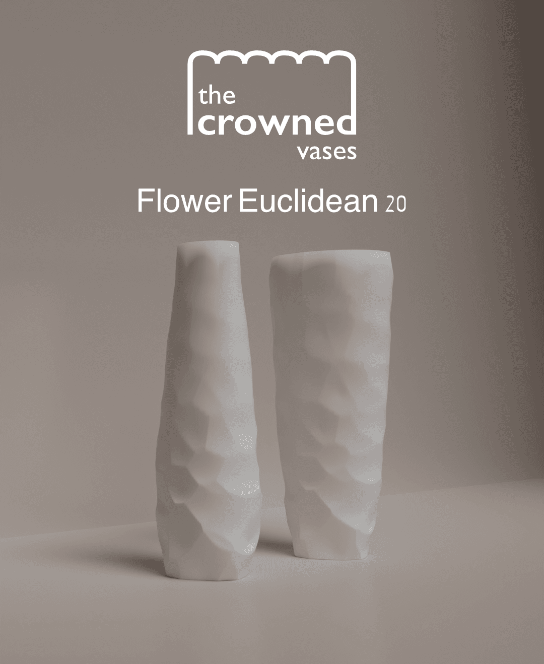 The Crowned Vases - Flower Euclidean 20 3d model