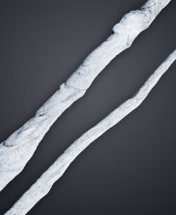 Natural Wand - Hogwarts Legacy 3d model