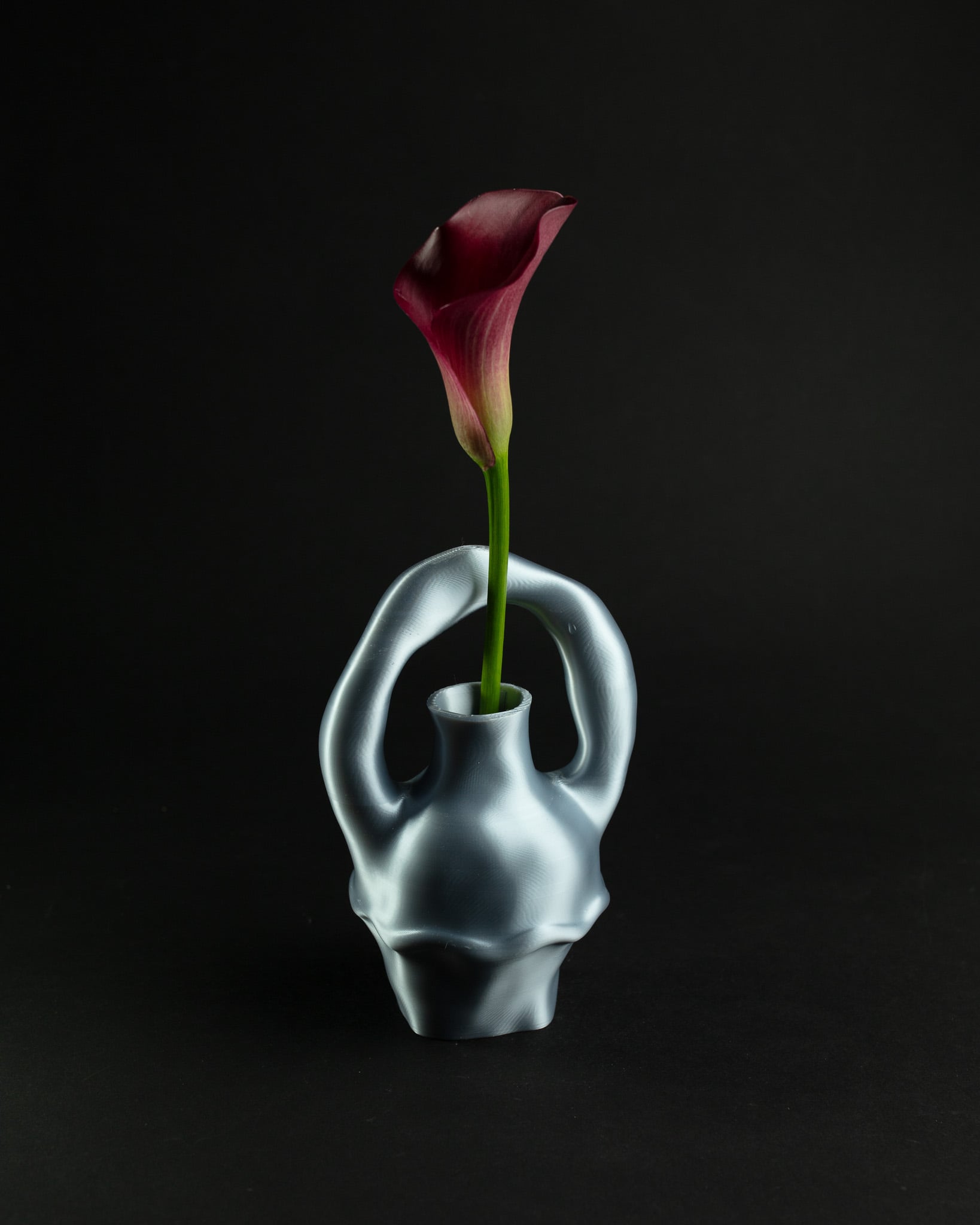 Loop Vase 3d model