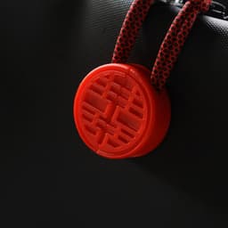 Zipper Pull - Double Happiness 3d model