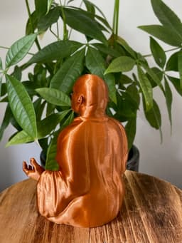 Dwayne Zen Jhonson - Buddrock 3d model