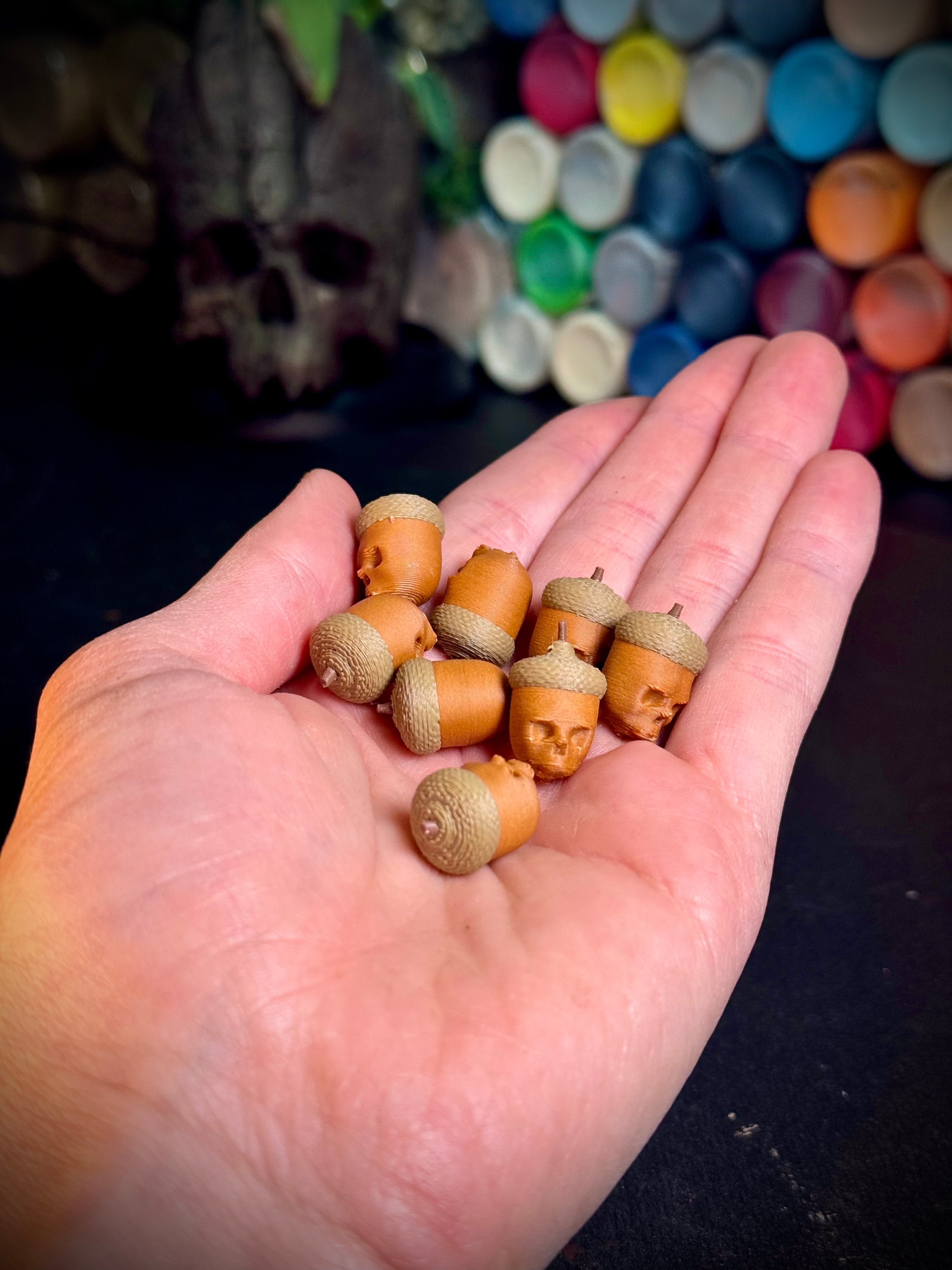 Skull Acorn 3d model