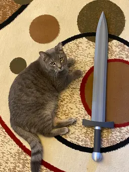 Tired from battle. 3d model