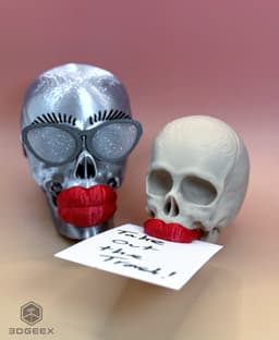 Smooch Skull 3d model