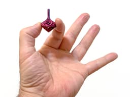 World's Smallest Tops 3d model