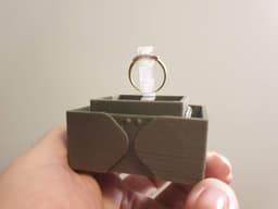 Print-in-Place Rising Box 3d model