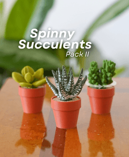 Spinny Succulents Pack II 3d model