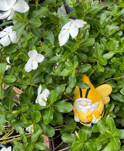 Bee Gnomes 3d model