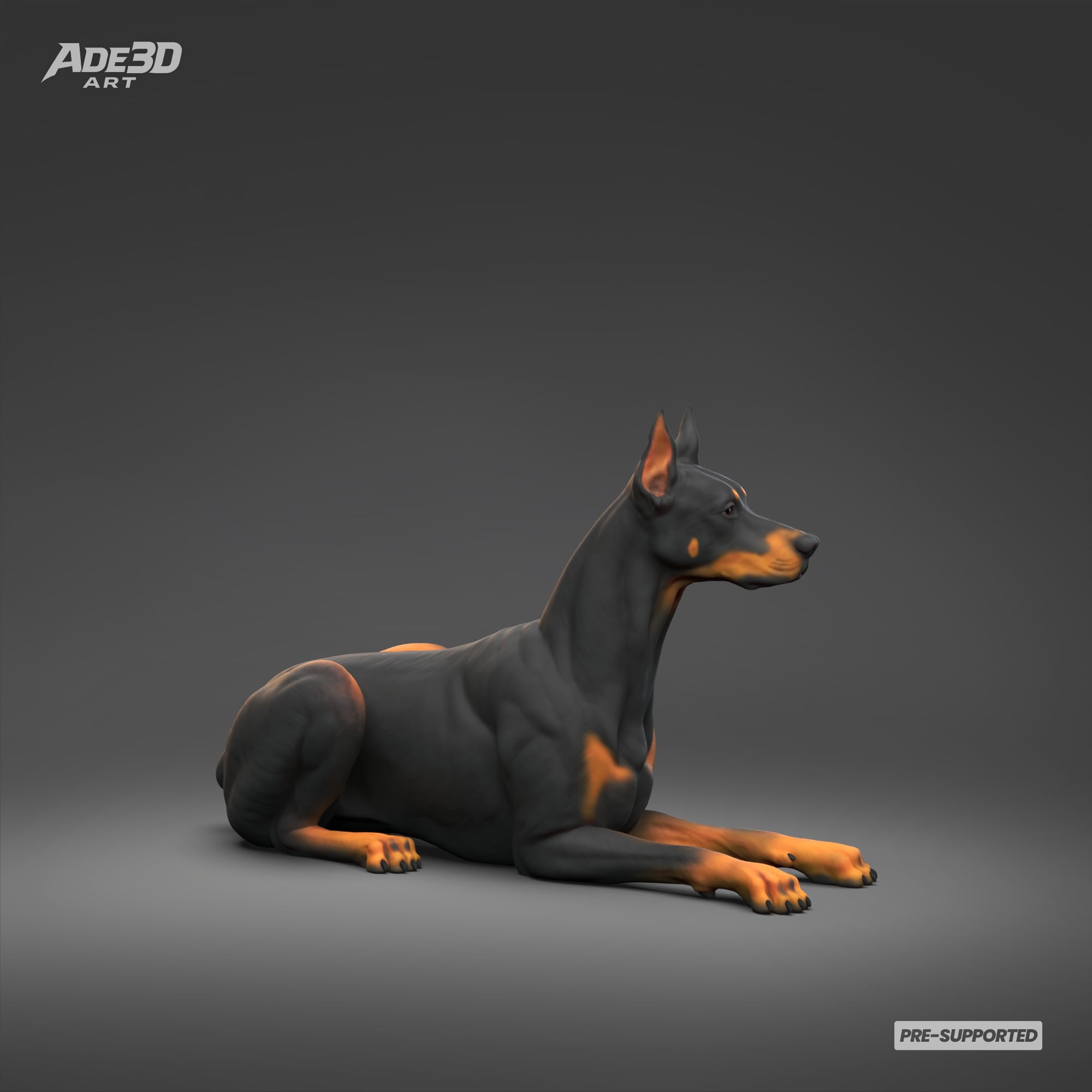 Doberman Pinscher Cropped Ears Docked Tail 3D Print Pose 06 3d model