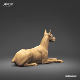 Doberman Pinscher Cropped Ears Docked Tail 3D Print Pose 06 3d model
