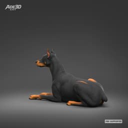 Doberman Pinscher Cropped Ears Docked Tail 3D Print Pose 06 3d model