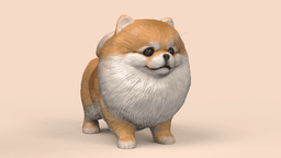 Cute Pomeranian 3d model