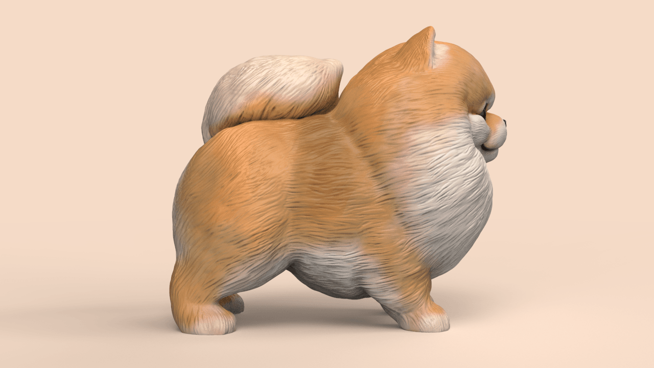 Cute Pomeranian 3d model