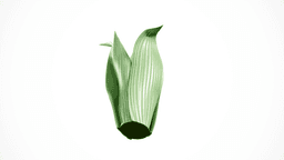 The Leaf’s Embrace 3d model