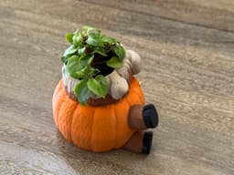 Highland Cow Pumpkin Planter 3d model