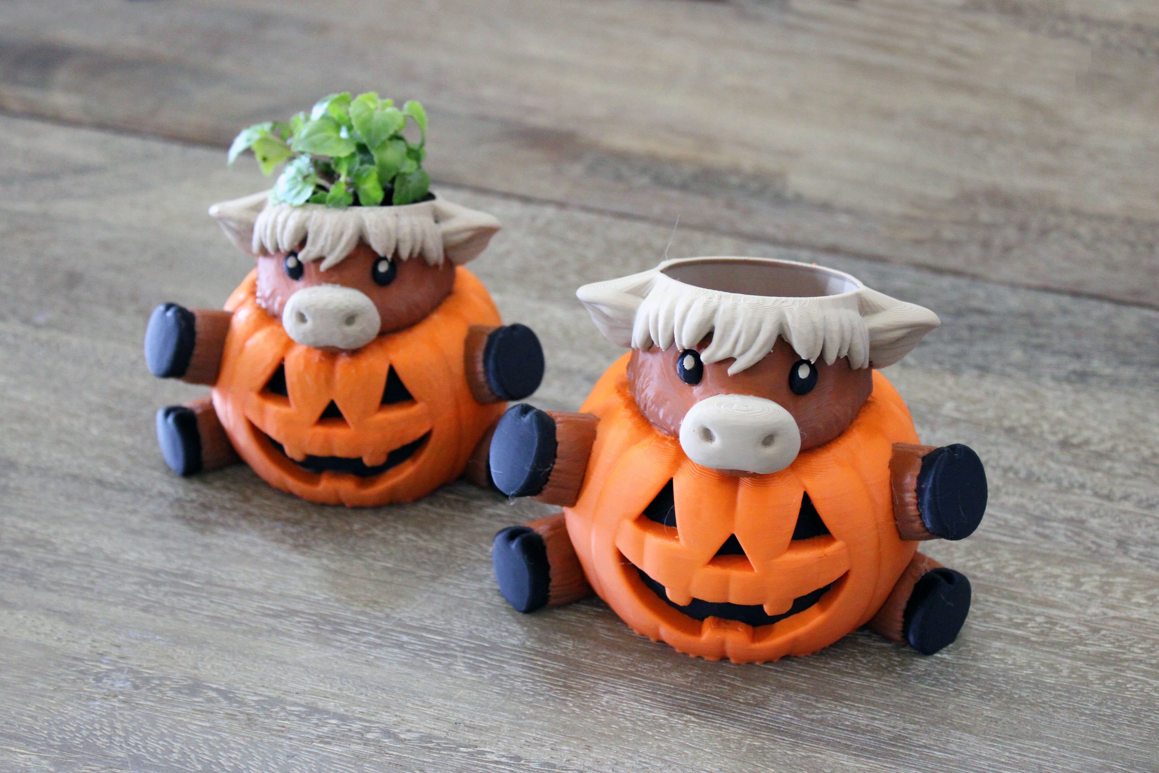 Highland Cow Pumpkin Planter 3d model