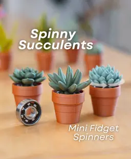 Spinny Succulents - Mini Fidget Spinners - Pocket Plants Collection 3d model