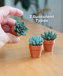 Spinny Succulents - Mini Fidget Spinners - Pocket Plants Collection 3d model