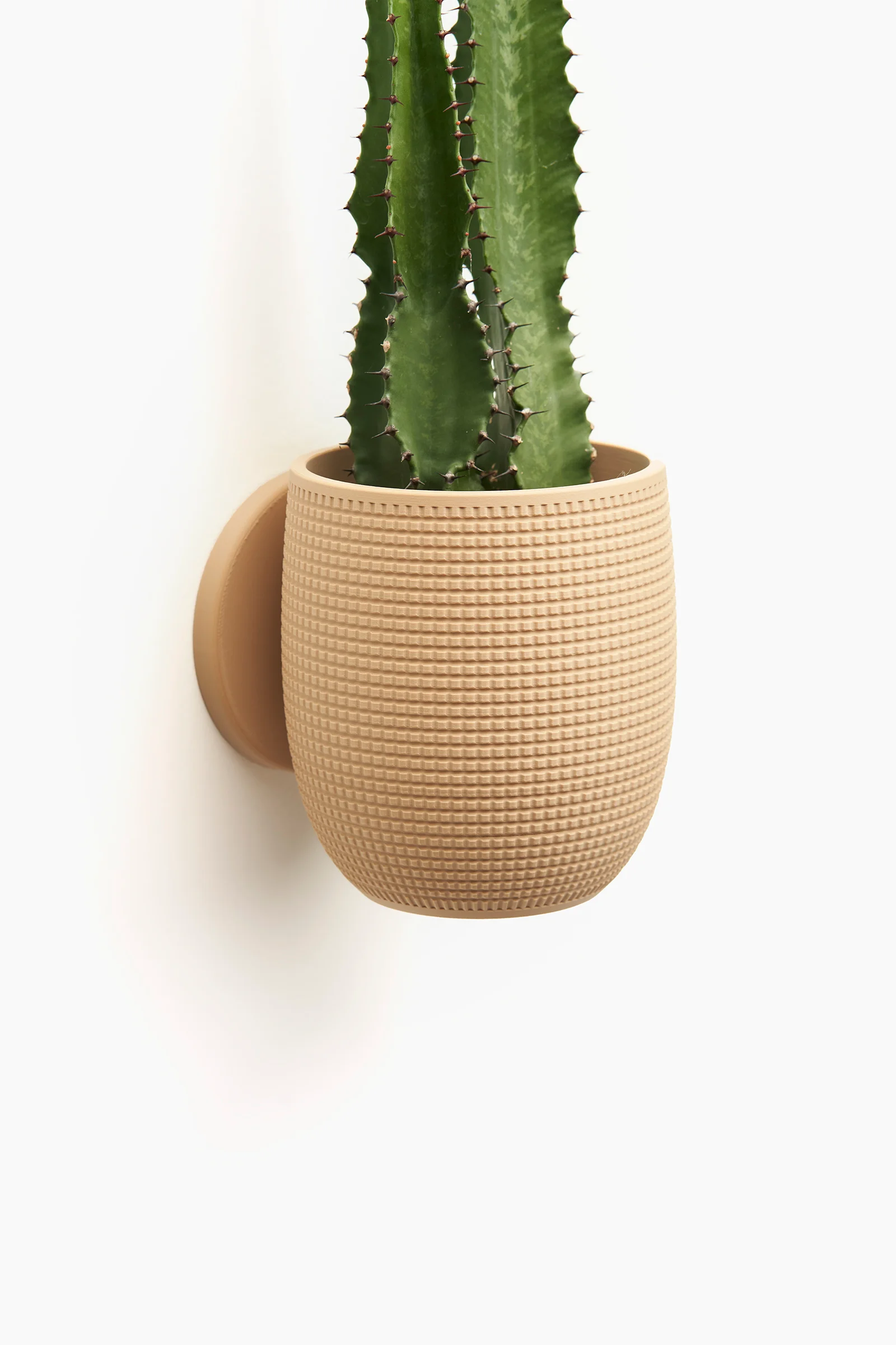 Grid Planter 3d model