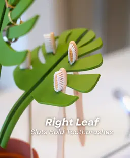 Mirror Monstera - Bathroom Organizer that Mounts to the Mirror 3d model