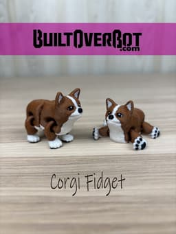 Corgi Fidget 3d model