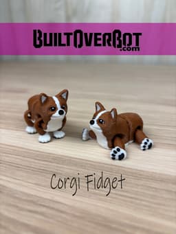 Corgi Fidget 3d model
